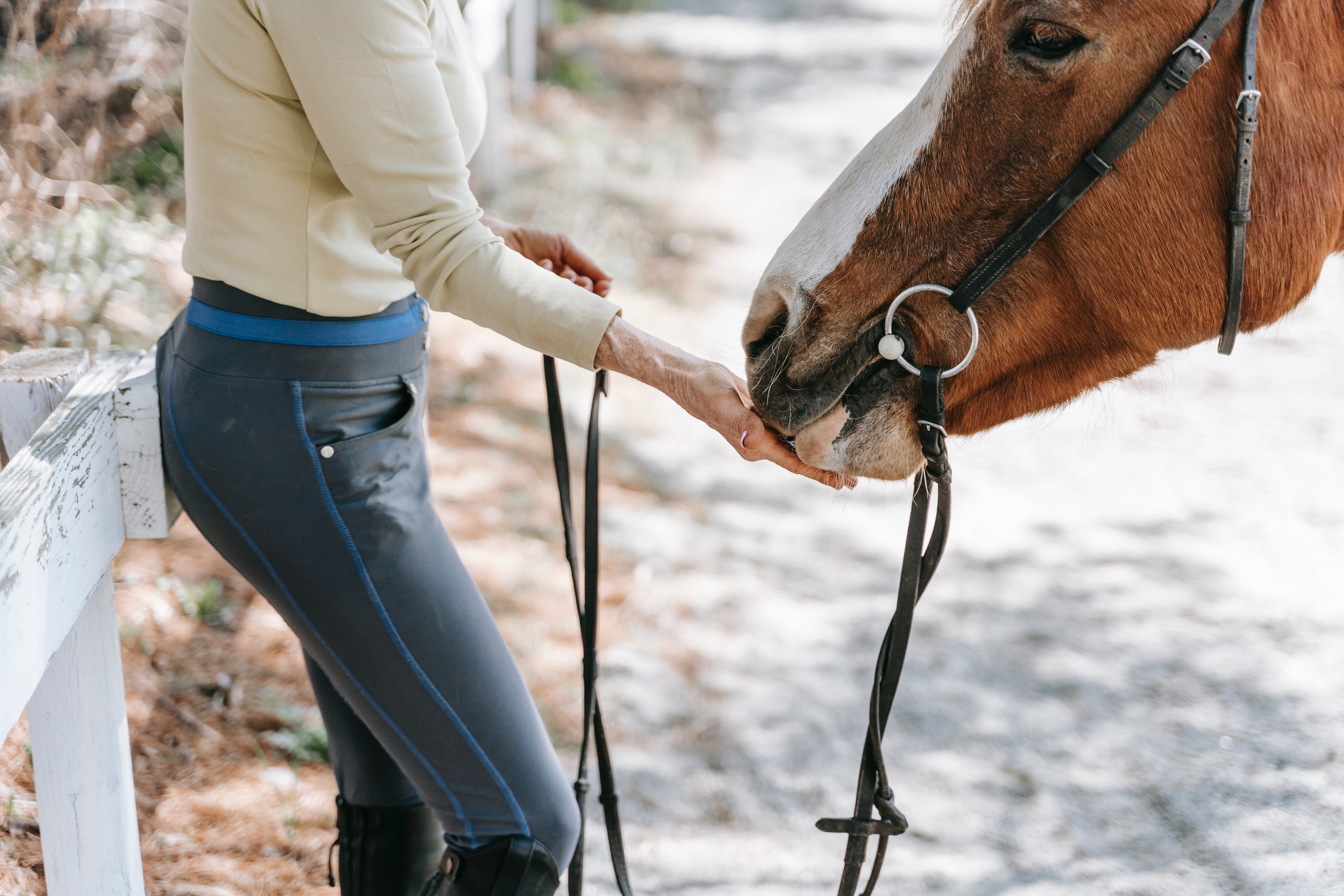 Winter Health Check for your Senior Horse